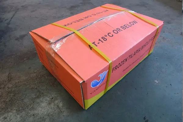 Strong Export Packaging