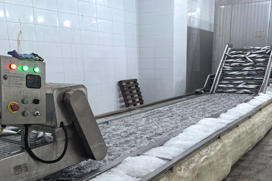 IQF factory machinery and equipment