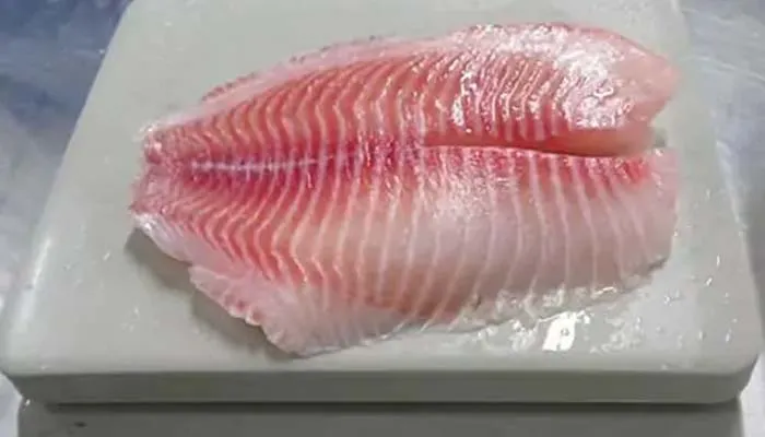 frozen tilapia fillets