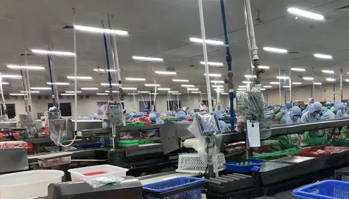 tilapia fish kosher certified factory