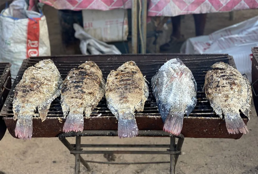 Tilapia Grill
