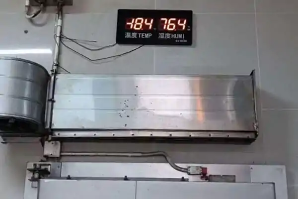 Frozen Mackerel Quality