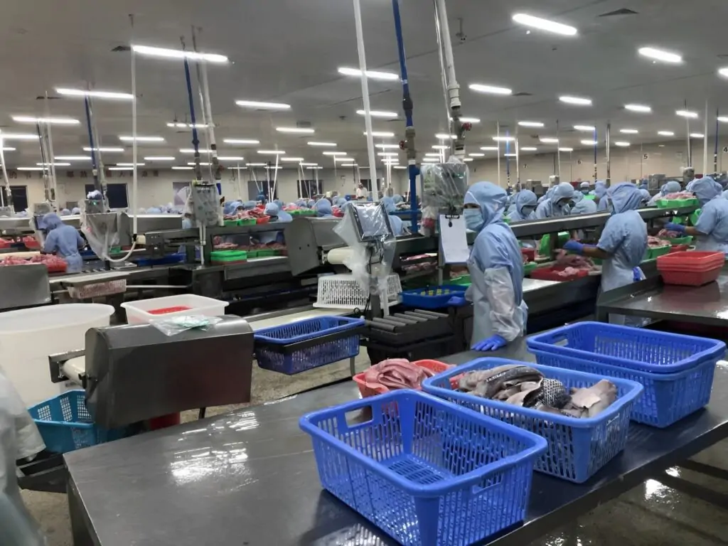 Quality Farmed Fish