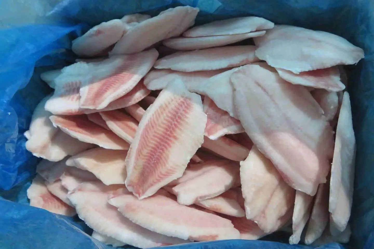 Tilapia Fillet